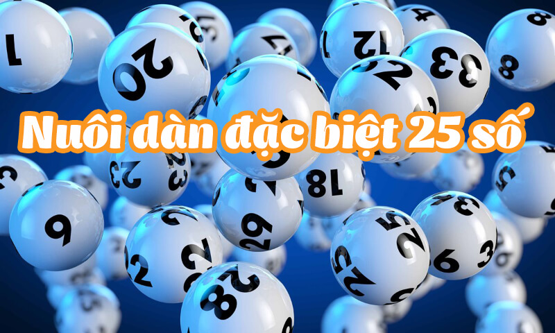 dan de 25 so khung 3 ngay thumb Dàn đề 25 số khung 3 ngày là gì?